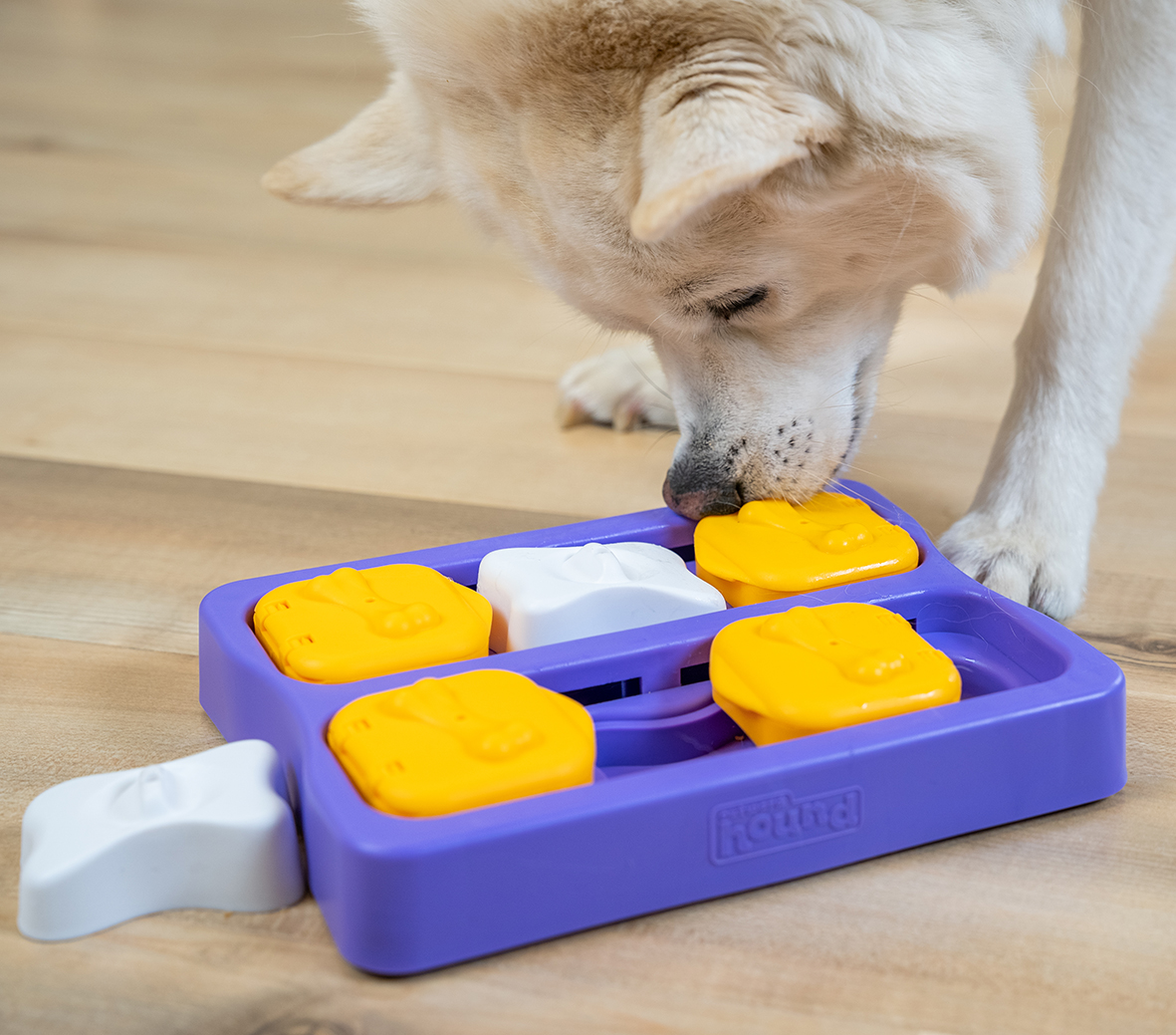 Intelligenzspielzeug Dog Brick Nina Ottosson Hundespielzeug, zum Schieben und mit Klappfächern, bpa-frei (Level 2), purple, 22cm – Bild 4