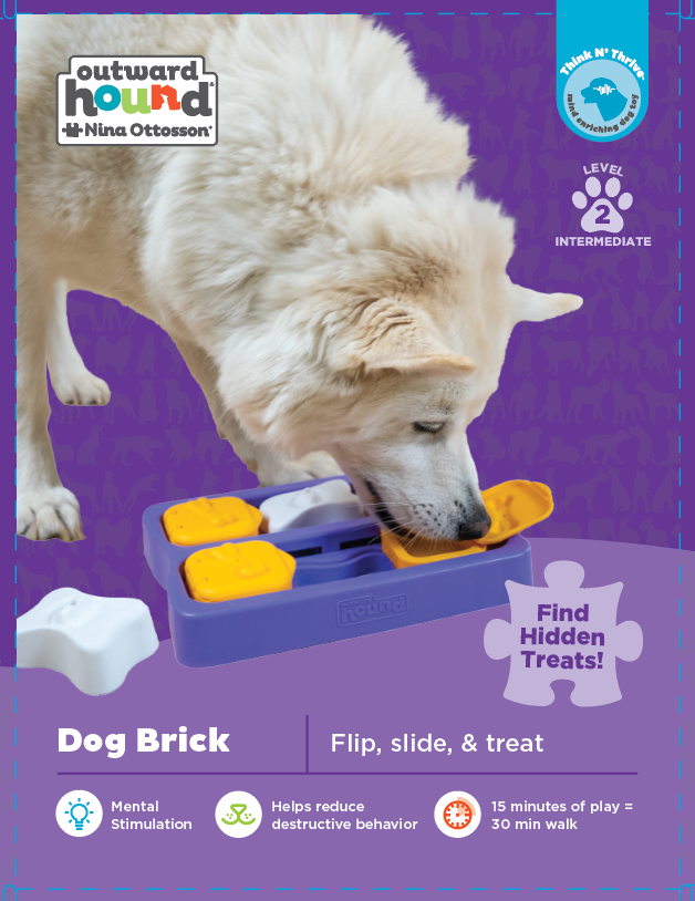 Intelligenzspielzeug Dog Brick Nina Ottosson Hundespielzeug, zum Schieben und mit Klappfächern, bpa-frei (Level 2), purple, 22cm – Bild 5
