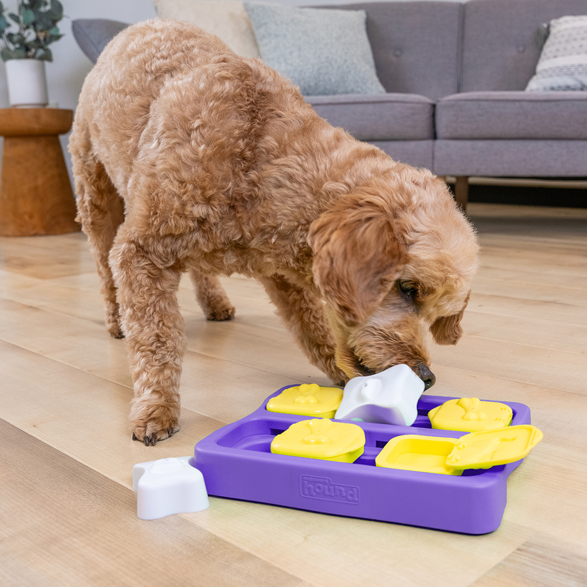 Intelligenzspielzeug Dog Brick Nina Ottosson Hundespielzeug, zum Schieben und mit Klappfächern, bpa-frei (Level 2), purple, 22cm – Bild 2