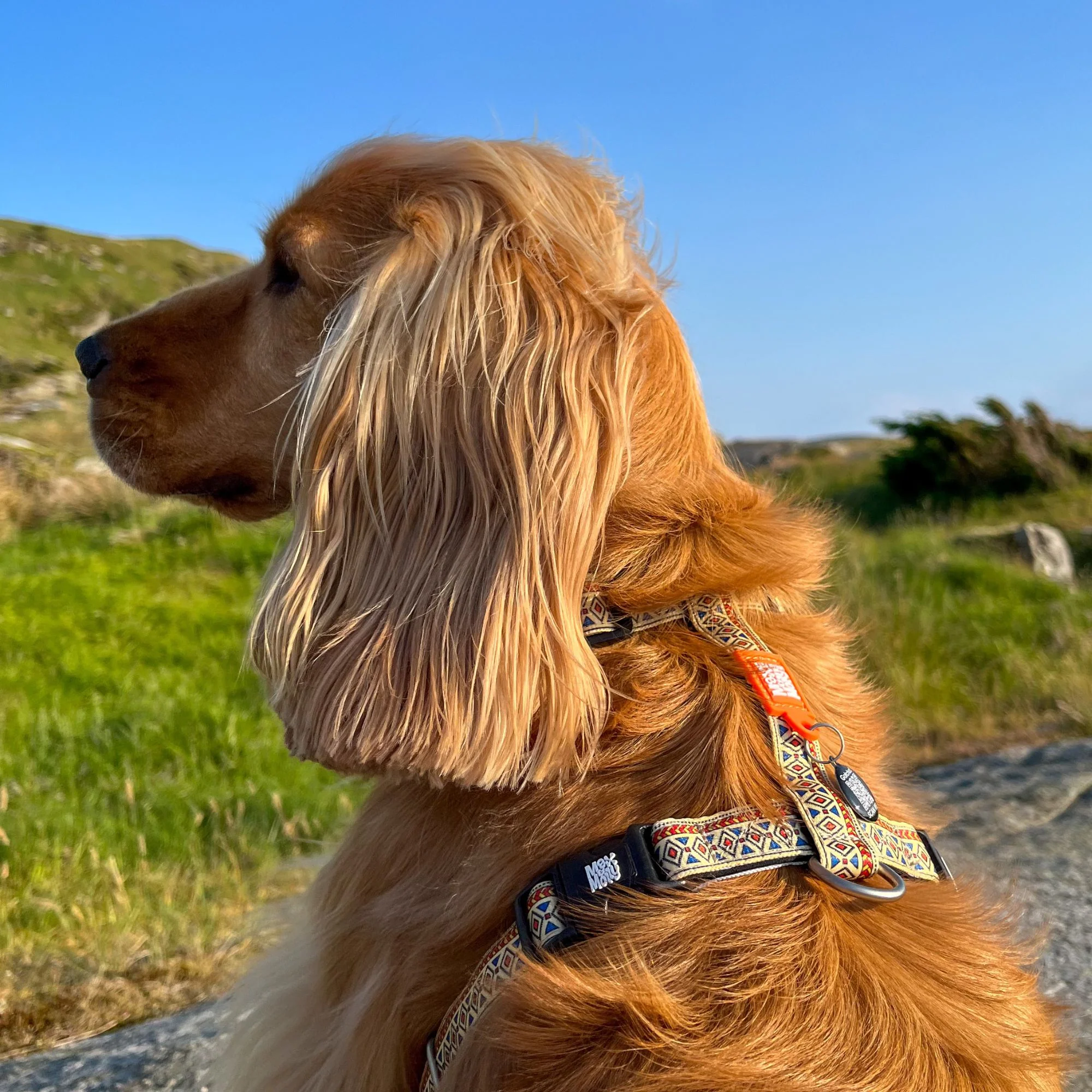 H-Geschirr – Ethnic, weicher Tragekomfort (5-fach verstellbar) XS, M, L – Bild 5