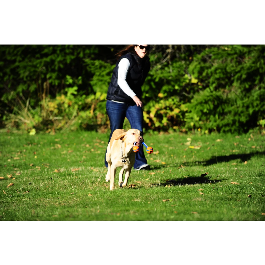 Chuckit! Ultra Duo Tug, flexible Gummiseiten, S 5cm – Bild 4