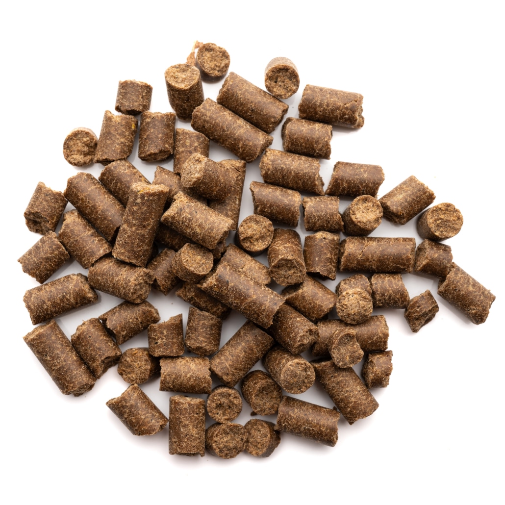 Naturfutter Kalter Hund, Ziege mit Vollkornreis & Kürbis, kaltgepresstes Trockenfutter hoher Fleischanteil, monoprotein, ohne Getreide & ohne Zucker, produziert mit Strom aus eigener Wasserkraft (100g, 1kg, 5kg) – Bild 3