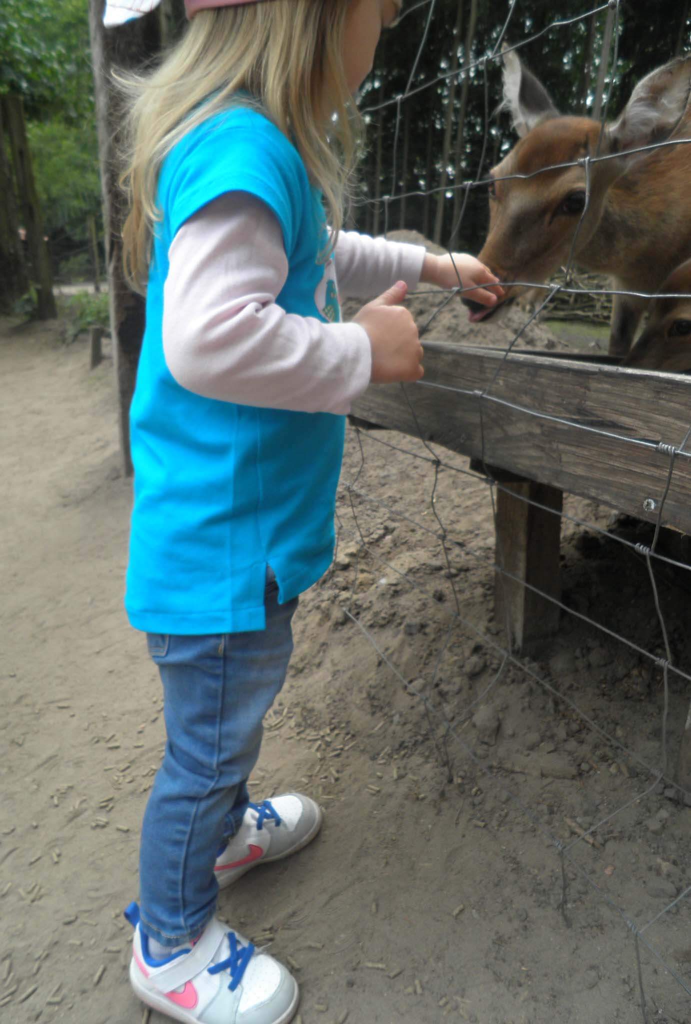 Shirt “SABRINA”, Gr. 62 – 104, Kurz & Langarm – Bild 6