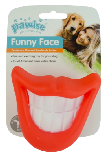 Funny Face, Lachen (Hund kann es ins Maul nehmen) – Bild 4