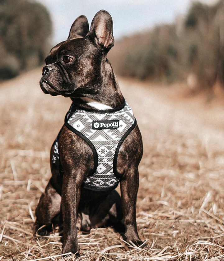 2in1 Soft-Geschirr, Hawai/Ethno (wendbar), S – Bild 5