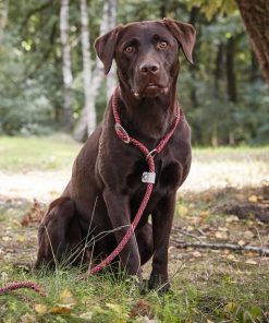 Everest-Tauprogramm Moxonleine/Retrieverleine, 1,8m lang, reflektierendsep, sepia rosa, 9mm
