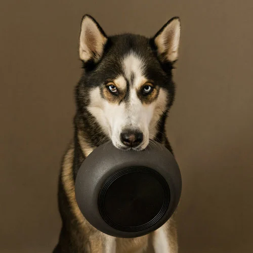 District 70 BAMBOO Hundenapf, mit Silikonring, spülmaschinenfest, chices Design, merengue (small) – Bild 5