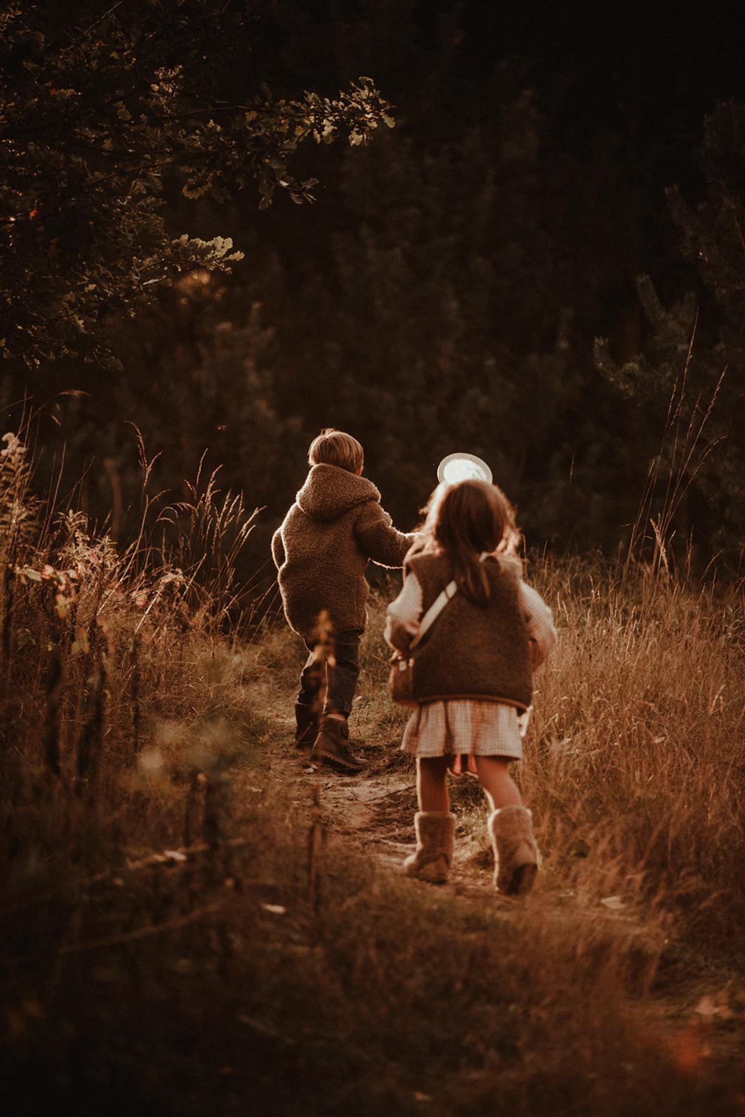 Alwero – Bodywarmer CARPATHIAN, Biowolle, BARK – Bild 3