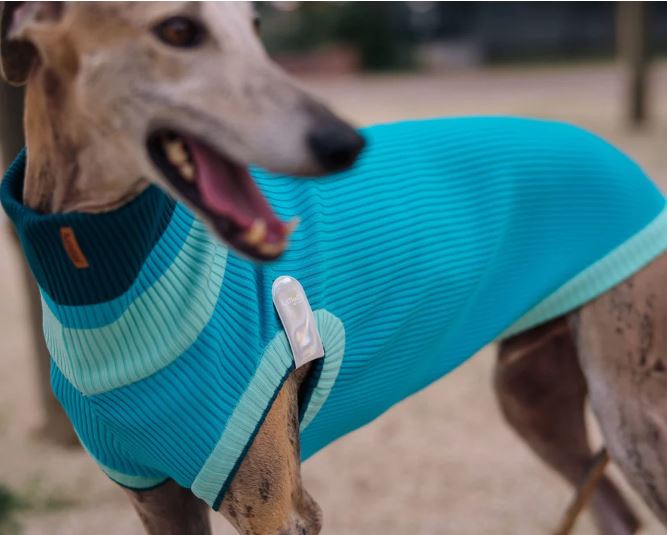 Lumiies THE MAGNETIC GLOW TAG (reflektierender Magnetclip, ultrastark, Klemmfunktion) – Bild 4